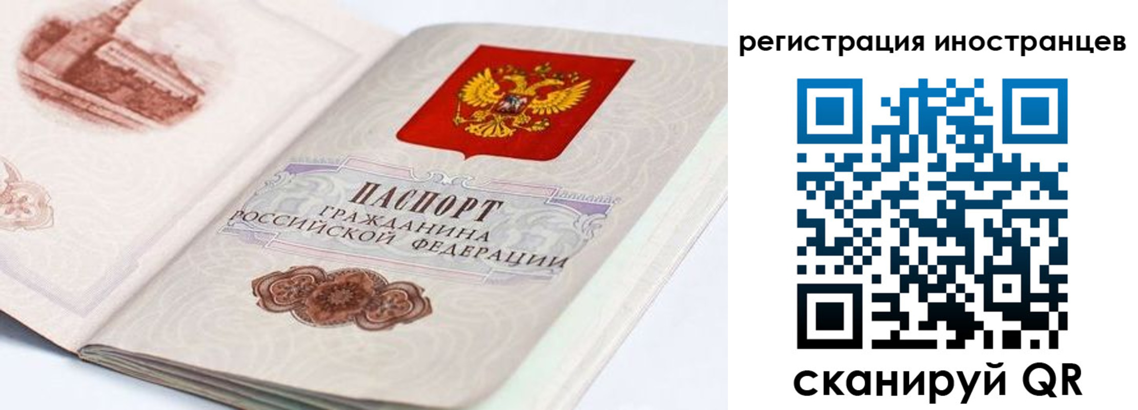 форма 3 в Ненецком АО